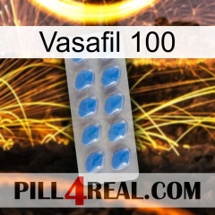 Vasafil 100 22
